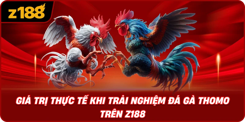 Giá Trị Thực Tế Khi Trải Nghiệm Đá Gà Thomo Trên Z188